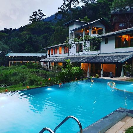Sinharaja Forest Edge Deniyaya Bagian luar foto