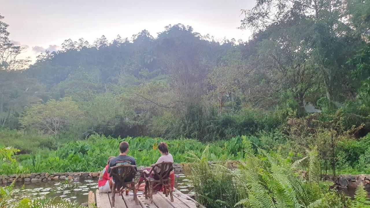 Sinharaja Forest Edge Deniyaya Bagian luar foto