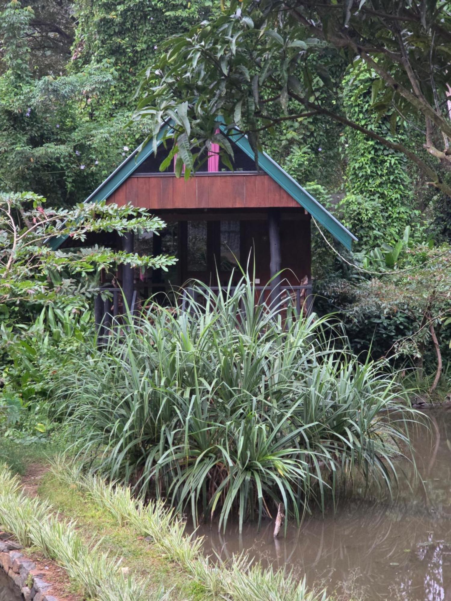Sinharaja Forest Edge Deniyaya Bagian luar foto